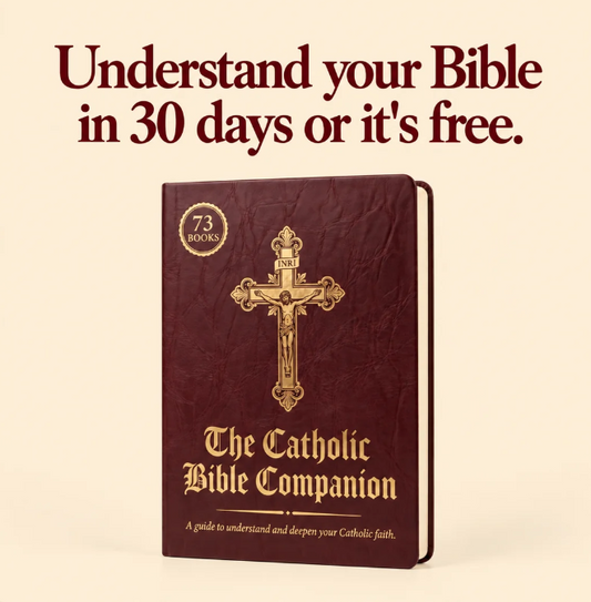 A Complete Guide to the Catholic Bible