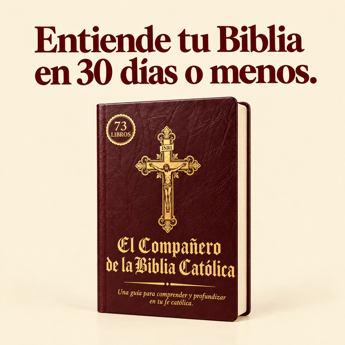 La Biblia Católica Explicada — Los 73 libros